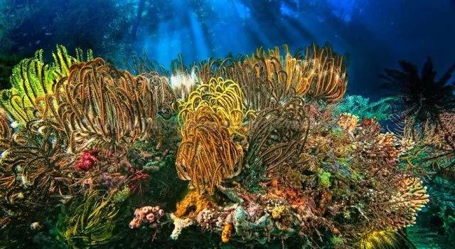 天津天气:明起气温回暖,最高气温回归冰点之上